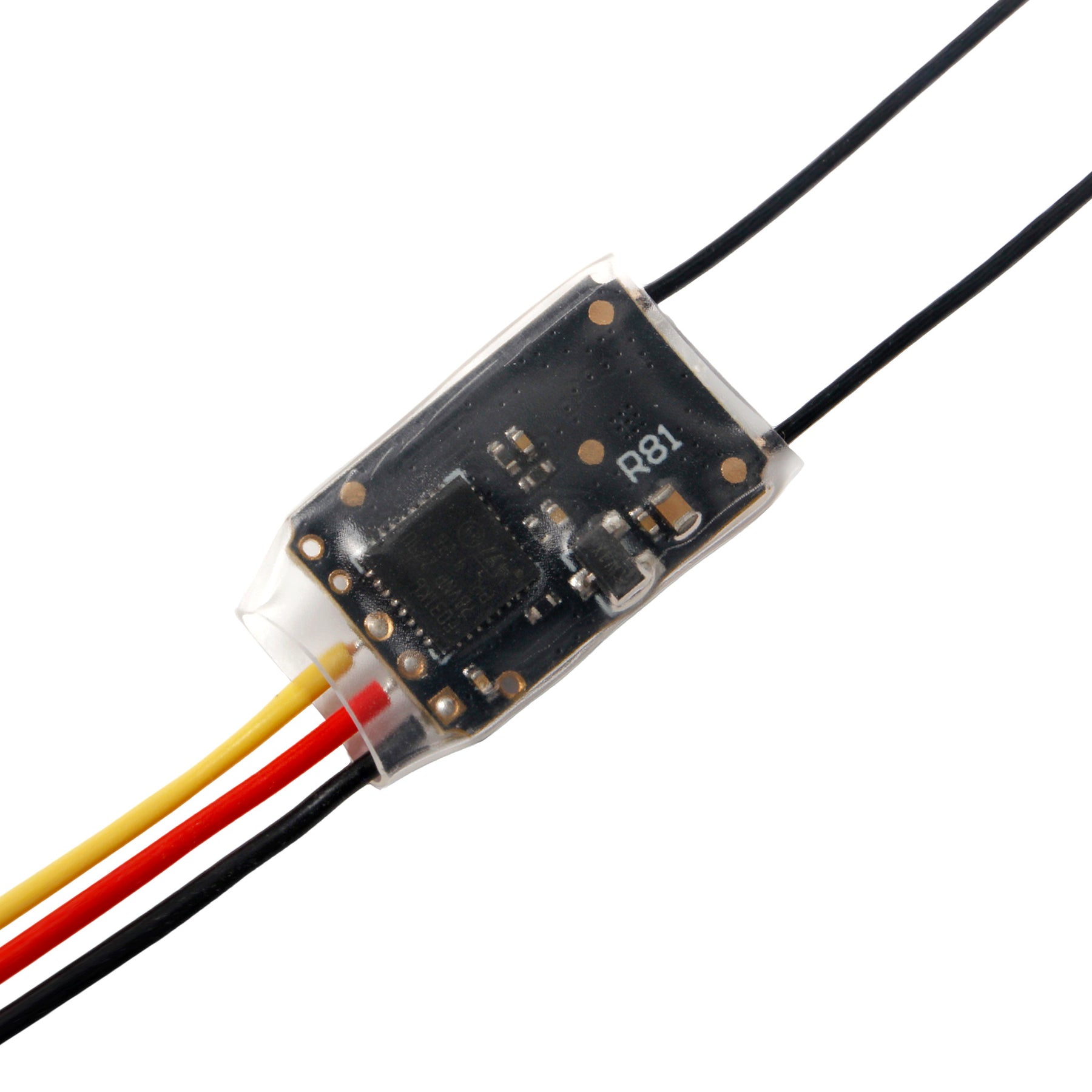 RadioMaster R81 Receiver – Holybro Store